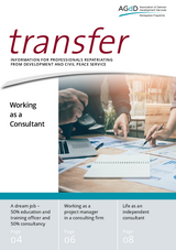 Working as a Consultant